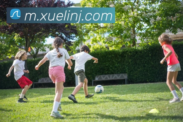 mksportsAPP 封面图